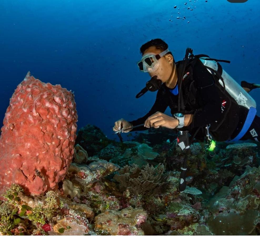 Marind Dive Eco Resort Waha Екстериор снимка